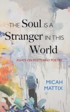 Soul Is a Stranger in This World