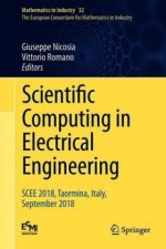 Scientific Computing in Electrical Engineering