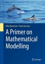 Primer on Mathematical Modelling