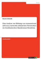 Eine Analyse zur Bildung von transnational advocacy networks anhand des Netzwerkes im brasilianischen Bundesstaat Rondônia