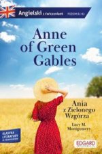Anne of Green Gables/Ania z Zielonego Wzgórza.