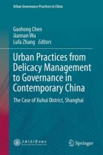 Urban Practices from Delicacy Management to Governance in Contemporary China