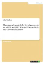 Bilanzierung immaterieller Vermögenswerte nach HGB und IFRS. Was sind Unterschiede und Gemeinsamkeiten?