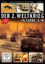 Panzer-Divisionen, Sturmtruppen, Panzer-Abwehr - Der 2. Weltkrieg in Farbe & schwarz-weiß