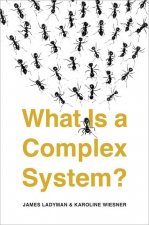 What Is a Complex System?