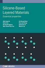Silicene-Based Layered Materials: Essential Properties