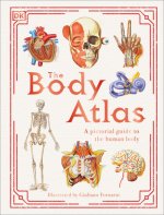 Body Atlas