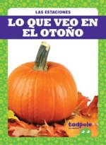 Lo Que Veo En El Oto?o (What I See Fall)