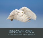 Snowy Owl: A Visual Natural History