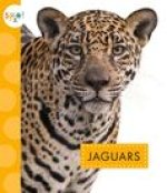 Jaguars