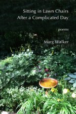 Sitting in Lawn Chairs After a Complicated Day: Poems
