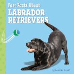 Fast Facts about Labrador Retrievers