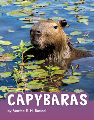 Capybaras