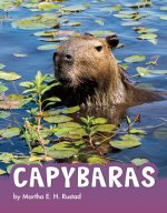 Capybaras