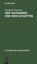 Der Wanderer Und Sein Schatten