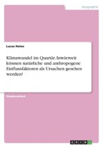 Klimawandel im Quartär. Inwieweit können natürliche und anthropogene Einflussfaktoren als Ursachen gesehen werden?
