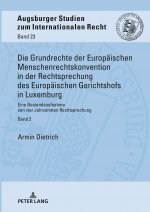 Grundrechte Der Europaeischen Menschenrechtskonvention in Der Rechtsprechung Des Europaeischen Gerichtshofs in Luxemburg