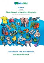 BABADADA, Shona - Plattduutsch mit Artikel (Holstein), duramazwi rine mifananidzo - dat Bildwoeoerbook