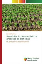 Beneficios do uso do silicio na producao de olericolas