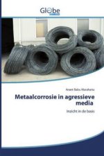 Metaalcorrosie in agressieve media