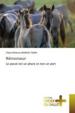 Retroviseur