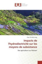 Impacts de l'hydroélectricité sur les moyens de subsistance