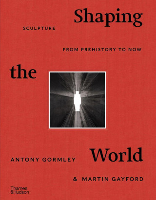 Shaping the World (Martin Gayford)(Twarda)