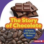 The Story of Chocolate: It Starts with Cocoa Beans