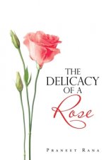 Delicacy of a Rose