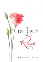 Delicacy of a Rose