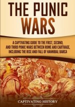 Punic Wars
