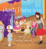 Adventures of Posh Princess - And the Magical Fashion Chamber