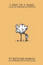 boy in a park