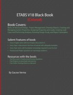 ETABS V18 Black Book (Colored)