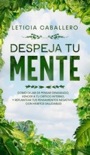 Despeja Tu Mente