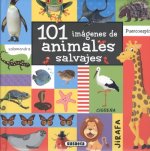 101 imágenes de animales salvajes