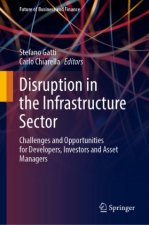 Disruption in the Infrastructure Sector