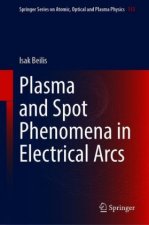 Plasma and Spot Phenomena in Electrical Arcs