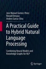 Practical Guide to Hybrid Natural Language Processing
