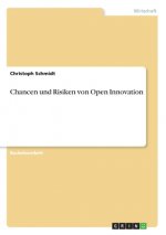 Chancen und Risiken von Open Innovation