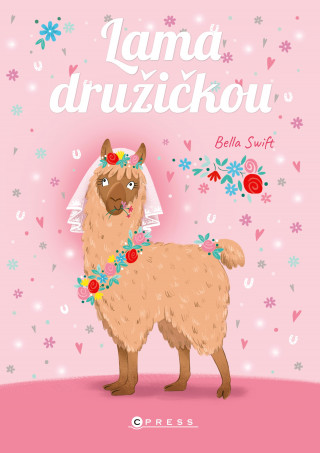 Lama druďż˝iďż˝kou