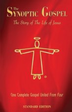 Synoptic Gospel