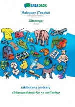 BABADADA, Malagasy (Tesaka) - Xitsonga, rakibolana an-tsary - xihlamuselamarito xa swifaniso
