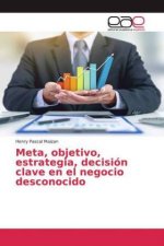 Meta, objetivo, estrategia, decisión clave en el negocio desconocido