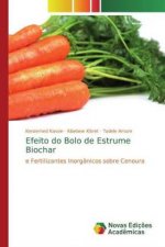 Efeito do Bolo de Estrume Biochar