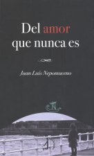 Del amor que nunca es