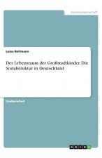 Der Lebensraum der Großstadtkinder. Die Sozialstruktur in Deutschland