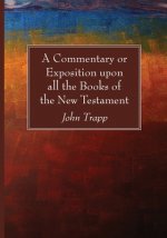 Commentary or Exposition upon all the Books of the New Testament
