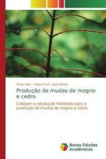 Producao de mudas de mogno e cedro