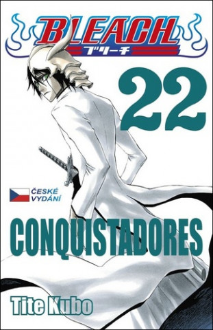 Bleach 22